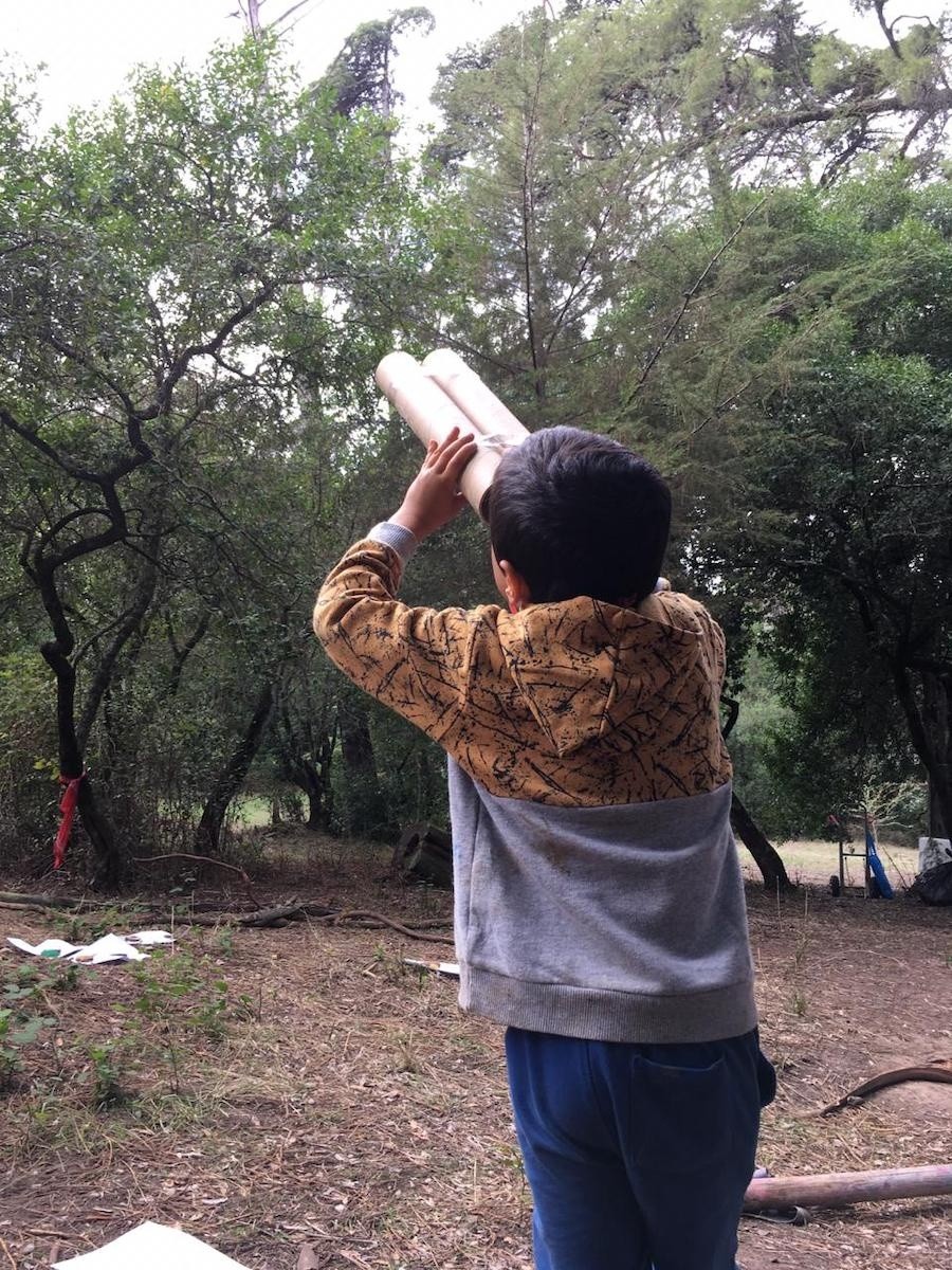 Como se aprende numa Forest School?