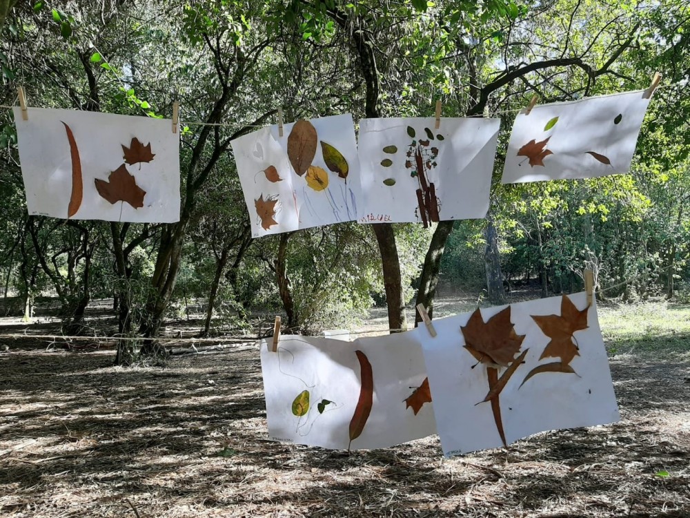 Adapting to kindergarten: how to turn a difficult transition into a pleasant experience for the whole family?