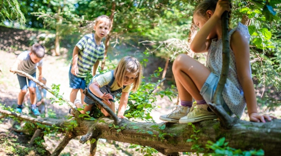 Nature-based free play