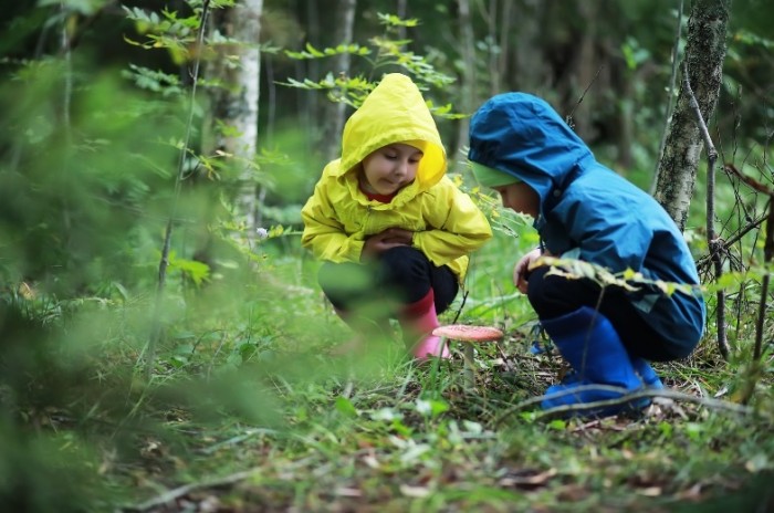 Preschool education in Sweden: an example to follow