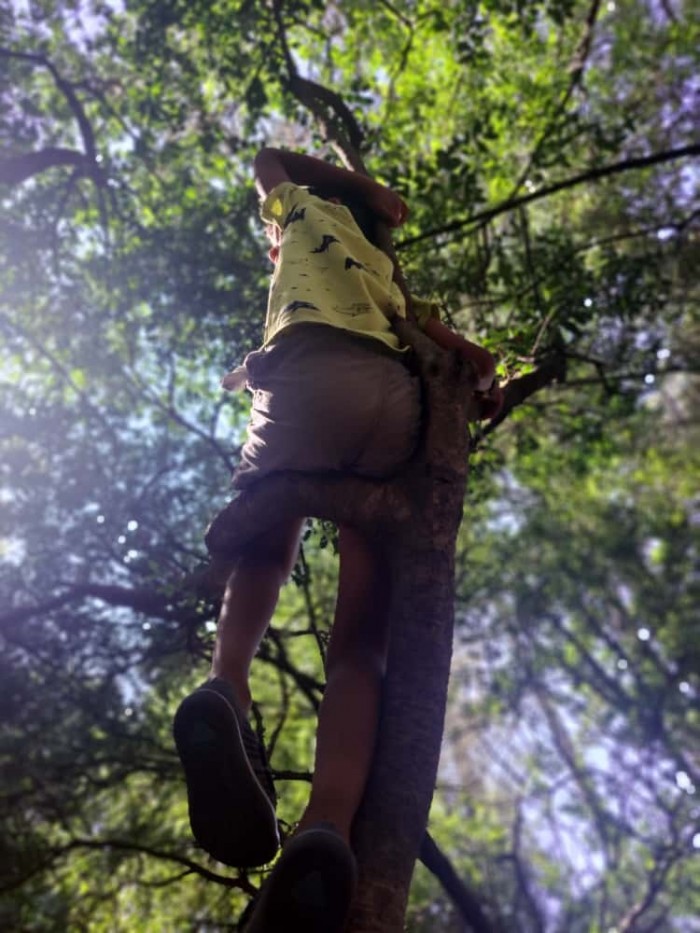 O que significa &ldquo;risco&rdquo; na inf&acirc;ncia?