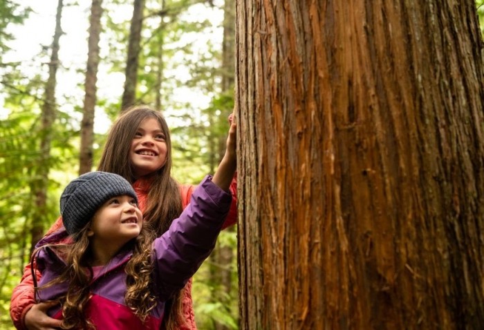 Nature helps with socioemotional learning