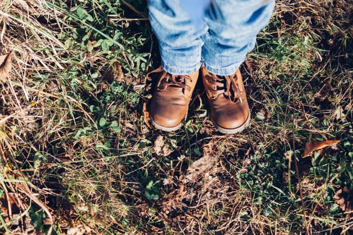 Nature-based learning strengthens the immune system